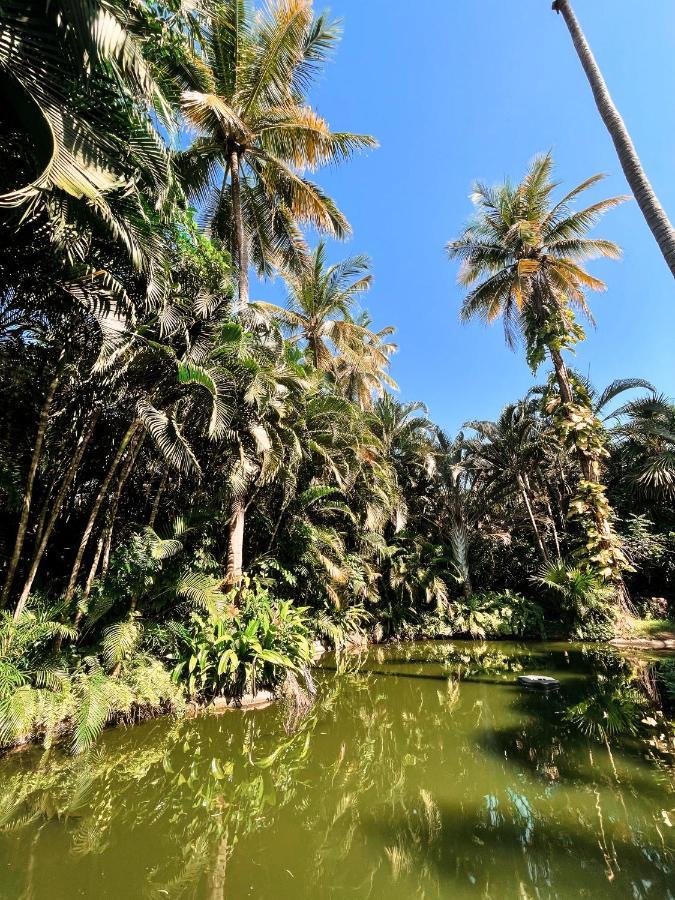 Jardín Secreto Centro Holístico Villa Acapulco Exterior foto