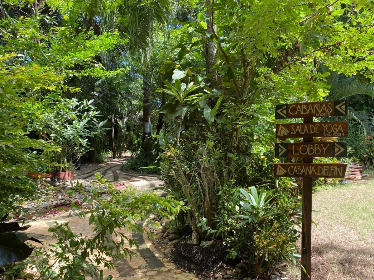 Jardín Secreto Centro Holístico Villa Acapulco Exterior foto