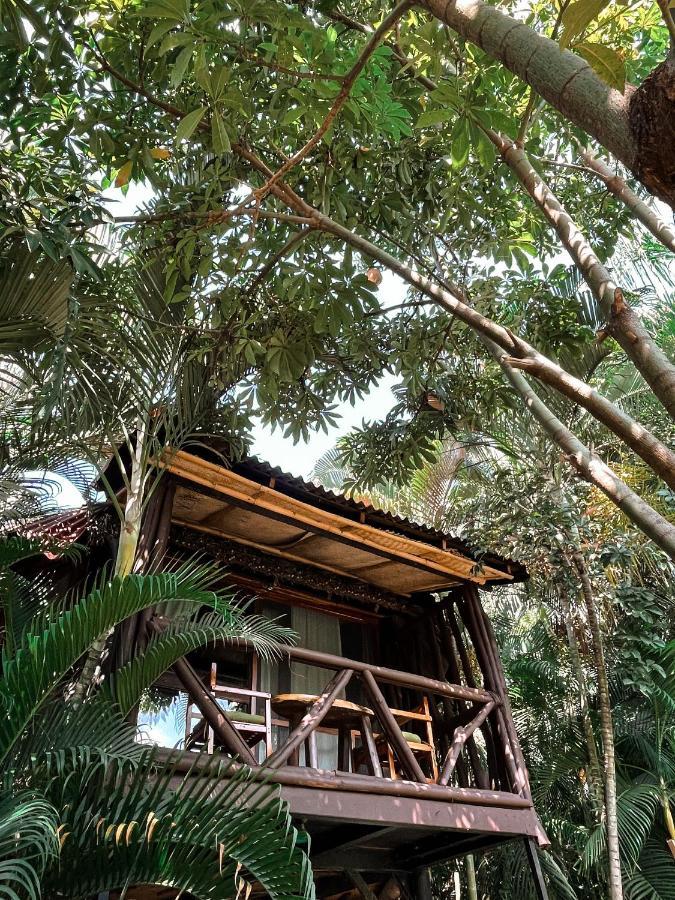 Jardín Secreto Centro Holístico Villa Acapulco Exterior foto