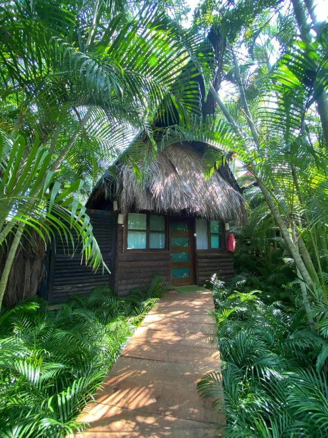 Jardín Secreto Centro Holístico Villa Acapulco Exterior foto